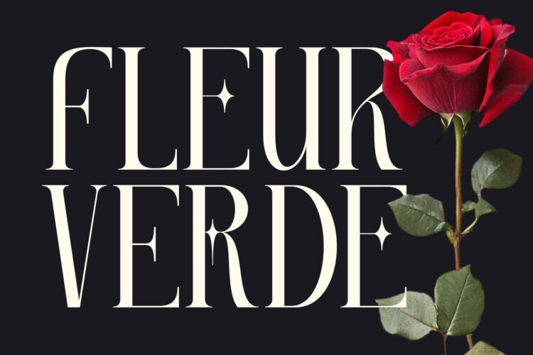 Classy Thin Serif Font