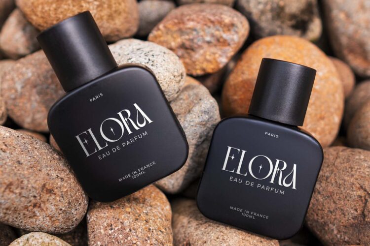 Classy Thin Serif Font