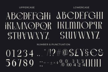 Classy Thin Serif Font