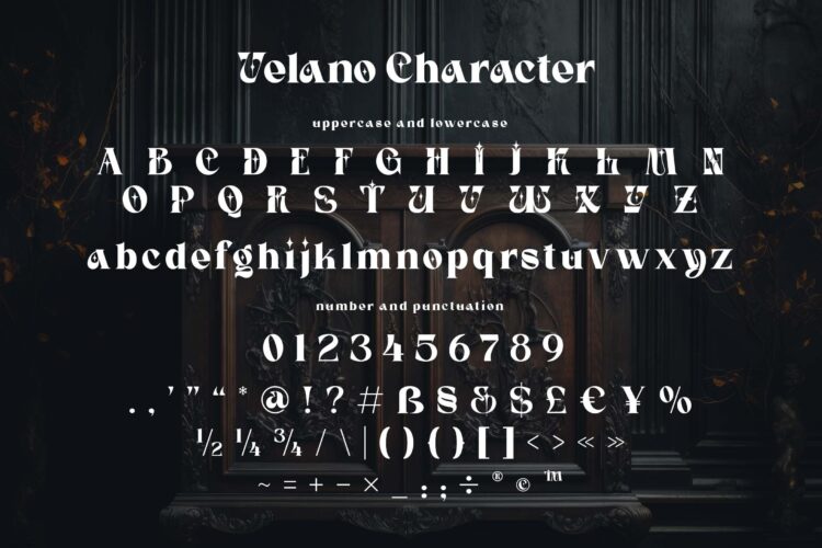 Serif Gothic Font