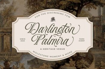 Stylish Calligraphy Font