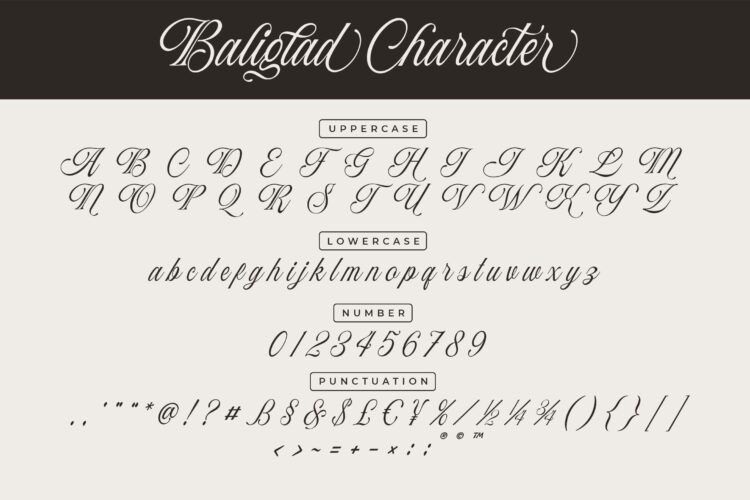Stylish Calligraphy Font