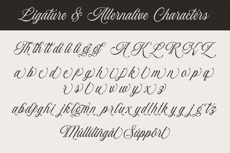 Stylish Calligraphy Font